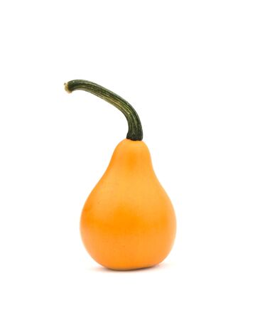 decorative pumpkin is isolated on white backgroundの写真素材