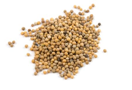 grains of mustard are isolated on whiteの写真素材