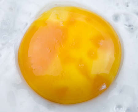 fried egg close up