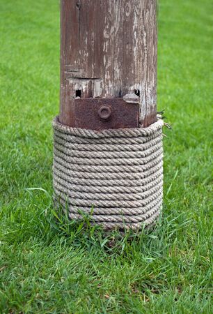 a wood sign with grassの写真素材