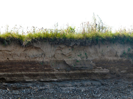 layer of soil beneath sectionの写真素材