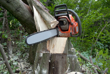 Chainsaw on wood cuttings. Close upの写真素材
