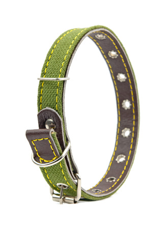 green leather dog collarの写真素材