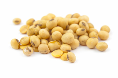 soybean isolated on white backgroundの写真素材
