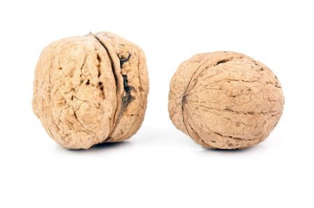 two walnuts are isolated on a white backgroundの写真素材