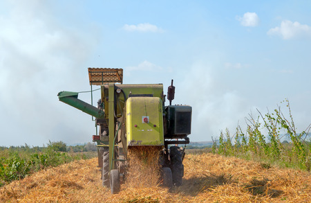 combine harvester working on a oat fieldの写真素材