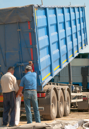 loadding corns of wheat close upの写真素材