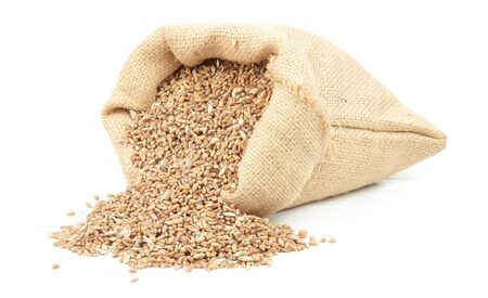 wheat grain isolated on white backgroundの写真素材