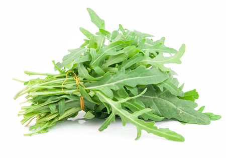 fresh arugula leaves on white backgroundの写真素材