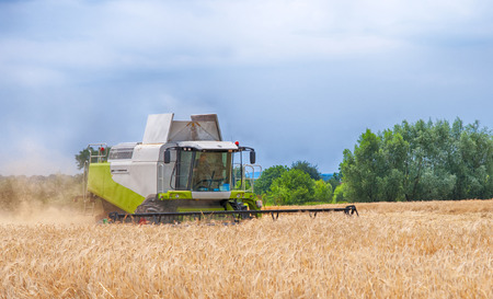 combine harvester working on a wheat field