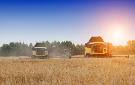 combine harvester working on a wheat fieldの写真素材