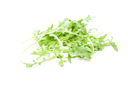 fresh arugula leaves on white backgroundの写真素材