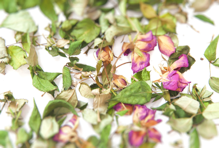 flowers composition. Frame made of dried rose flowersの写真素材