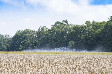 Agricultural sprayers, spray chemicals on wheat. Spraying pesticides on wheat field with sprayer