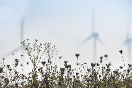 Silhouette of the wind turbine close up