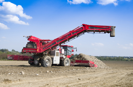 Agricultural vehicle harvesting sugar beets at sunny autumn dayの写真素材
