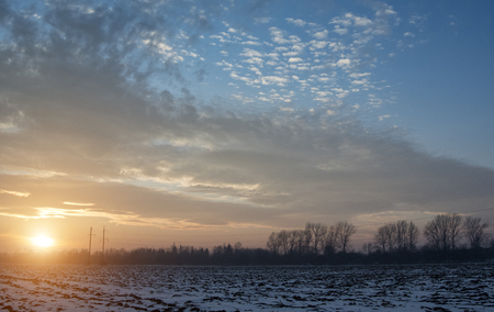 Scene of a beautiful sunset at field with trees at winter seasonの写真素材