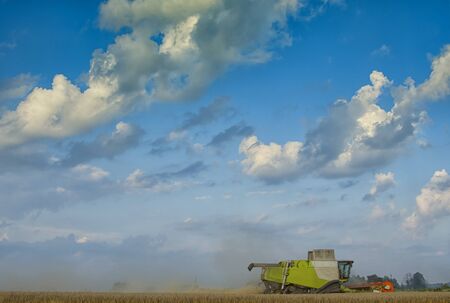 Harvester machine to harvest wheat field working. Combine harvester agriculture machine harvesting...