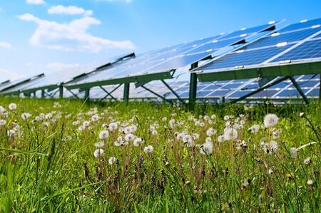 dandelion on a background of solar panels. Close upの写真素材