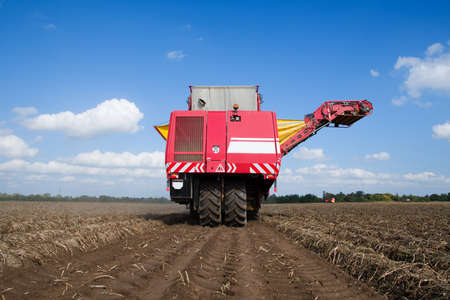 potato harvester machine on the fieldの写真素材