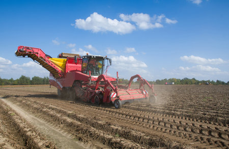 potato harvester machine on the fieldの写真素材