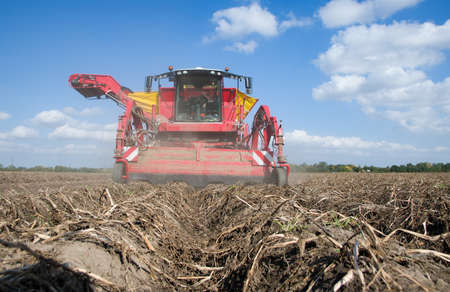 potato harvester machine on the fieldの写真素材