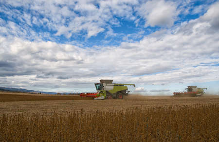 Combine harvester at work in soybean agricultural farm fieldの写真素材