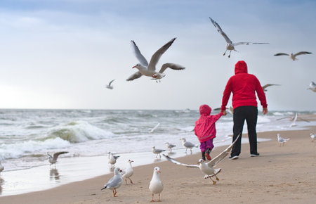 Young mother and her little daughter feeding seagulls on beach, Baltic sea summer holiday vacationの写真素材