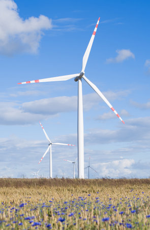 Landscape with wind power plant and field of wheat