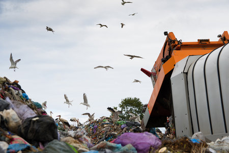 landfill pollutes the environment. garbage truck. birds fly over landfillの写真素材