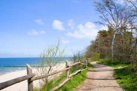 Coastal path along the beach in Rewal village, Baltic Sea, Polandの写真素材