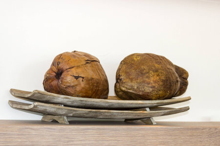 Two coconuts on a tray on a shelfの写真素材