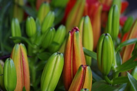 focusの写真素材