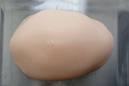 Simulation medicine model of the pregnant uterus and abdomen for examination by students or doctors-obstetrician in the innovative educational process, on the metal table.の写真素材