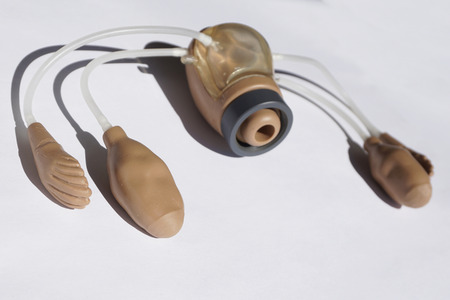 Simulation medicine model of the  uterus, ovaries and Fallopian tubes for students or...