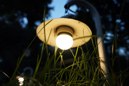 Small Garden Light, Lanterns In grass Bed. Garden Design. Luminarias and Christmas lights decorate a garden at night. Lights and lanterns in the wedding. Bokeh.の写真素材