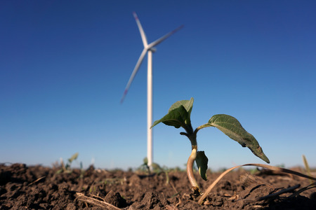 Eco power, wind turbines with blue sky. wind turbine for alternative electricity.renewable electric farm with sustainable eco-friendly technology using wind energy rotation for wind turbines renewableの写真素材