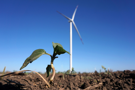 Eco power, wind turbines with blue sky. wind turbine for alternative electricity.renewable electric farm with sustainable eco-friendly technology using wind energy rotation for wind turbines renewableの写真素材