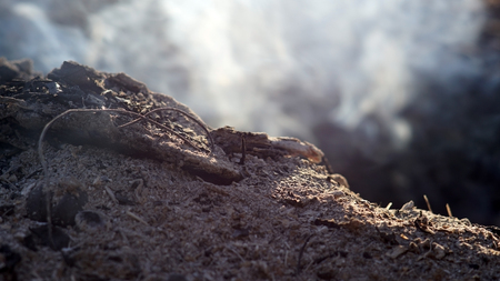 Smoke and ashes of bonfire long exposure. close-up macro. wide.の写真素材