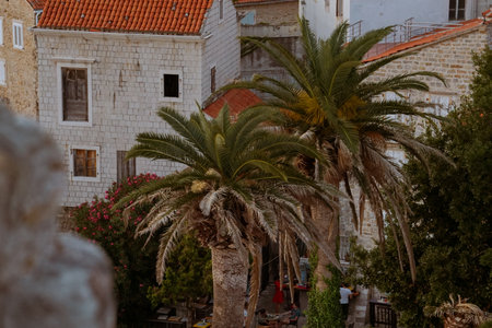 Palm trees stand before weathered stone buildings with red-tiled roofs. Lush greenery and hints of people add life to the Mediterranean scene.の写真素材