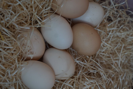 Close up of natural white and brown chicken eggs lying on straw in a rustic nest. Farm fresh organic eggs, healthy natural food concept, perfect for cooking, baking, or Easter decoration themes.の写真素材