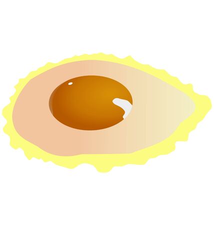 one fried egg on the white backgroundのイラスト素材