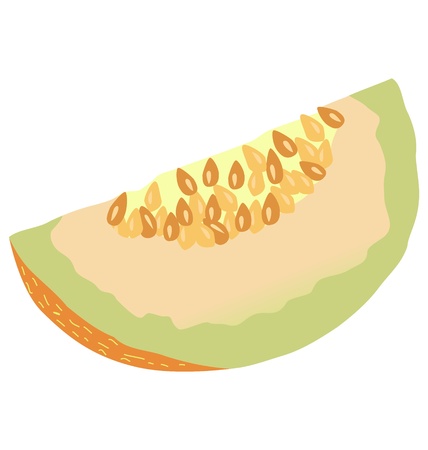 A slice of melon on white backgroundのイラスト素材