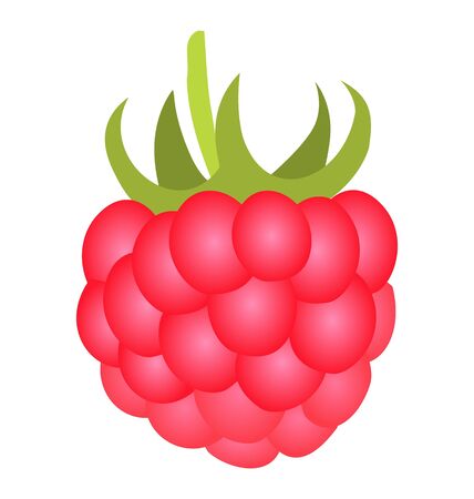 Ripe raspberry isolated on a white backgroundのイラスト素材
