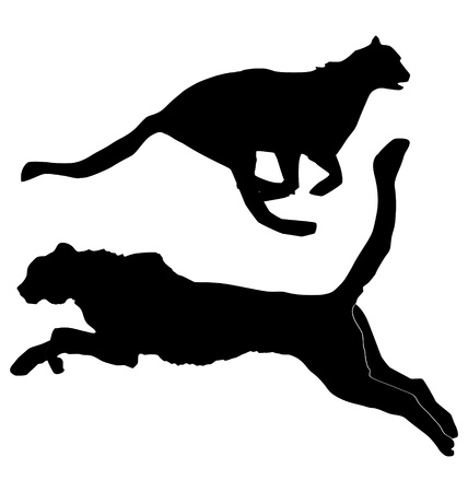 The set of the silhouettes of the cheetahのイラスト素材