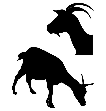 The set of the silhouettes of the goatのイラスト素材