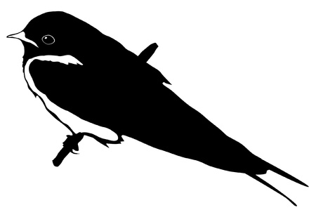 Illustration in style of black silhouette of swallow のイラスト素材