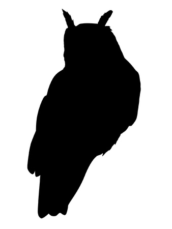 Illustration in style of black silhouette of owlのイラスト素材