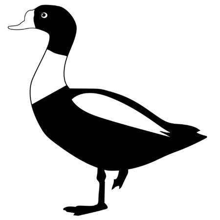 Illustration in style of black silhouette of gooseのイラスト素材