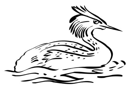 Illustration in style of black silhouette of grebeのイラスト素材